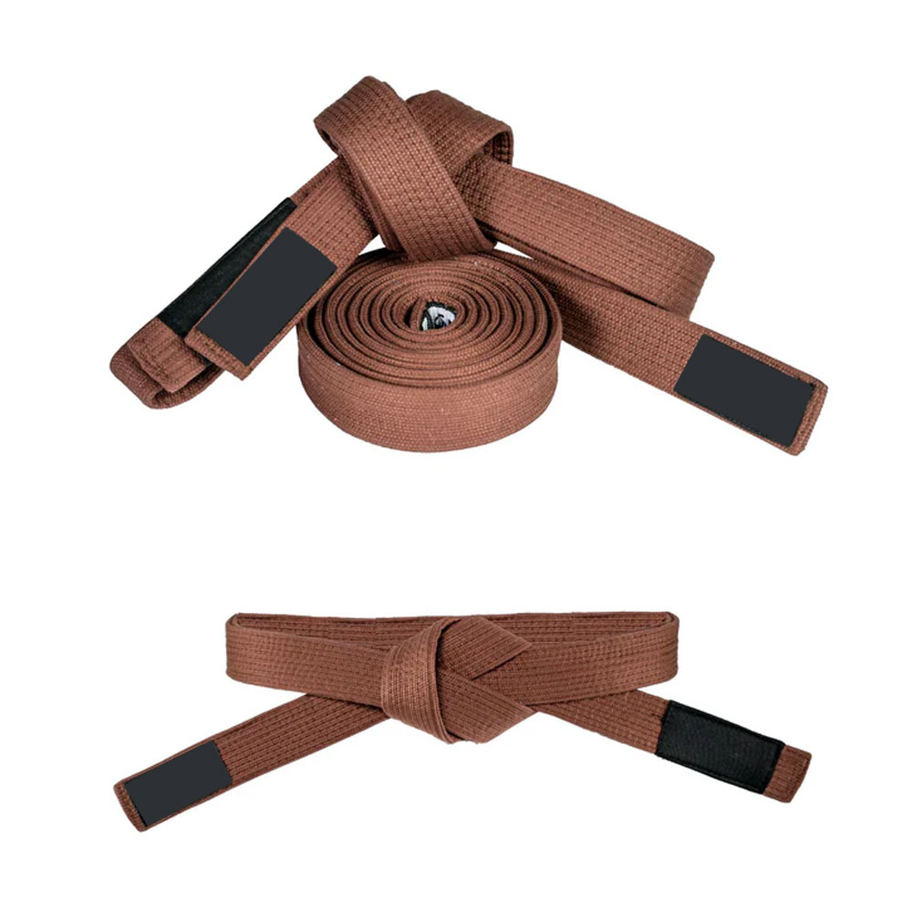 04-17.jpg Jiu-Jitsu Belts - Image 1